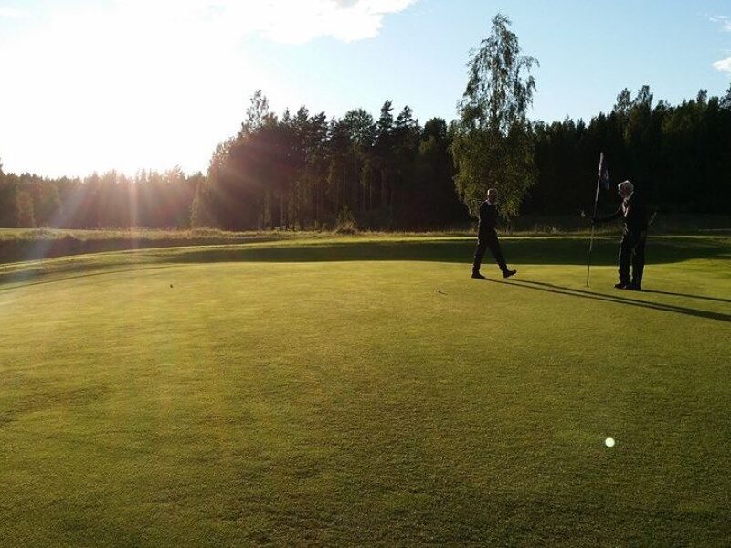Alfta-Edsbyns Golfklubb