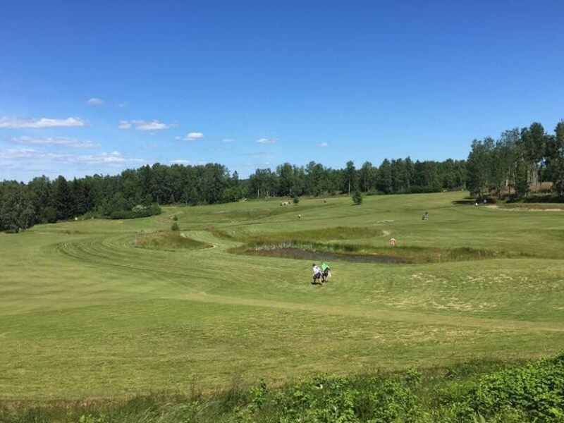 Allmags Golfklubb