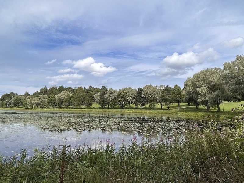 Blåvandshuk Golfklub