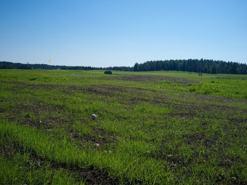 Brændeskovgård Golf