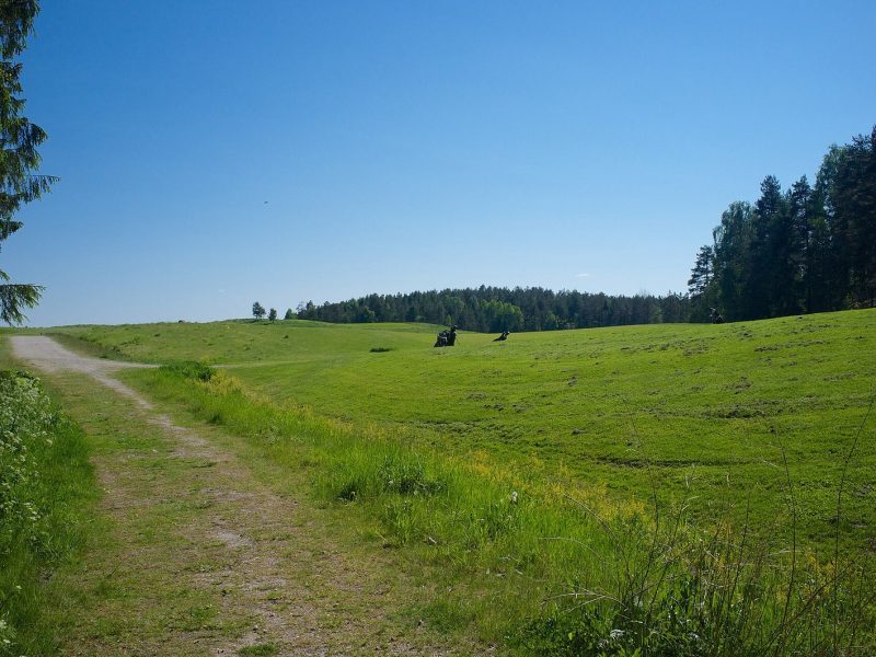 Brændeskovgård Golf