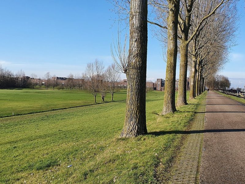 Golf Club Harekær