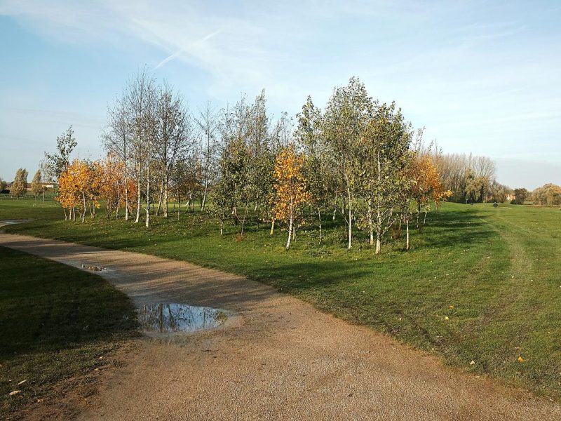 Hirtshals Golfklub