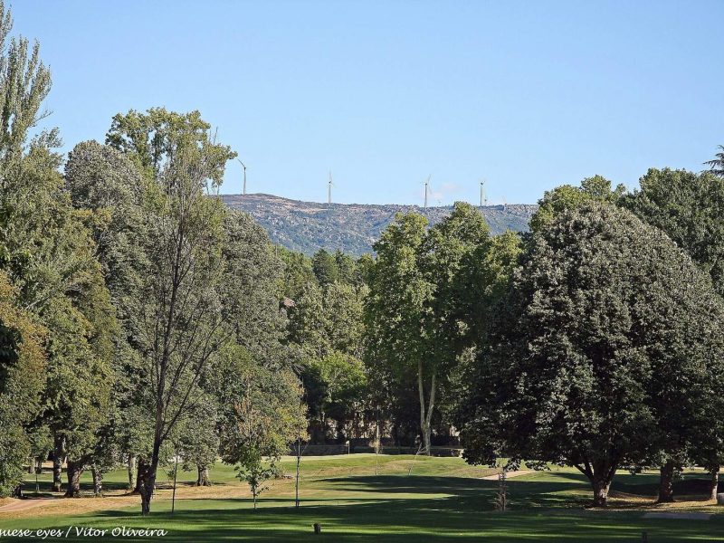 Hjørring Golfklub
