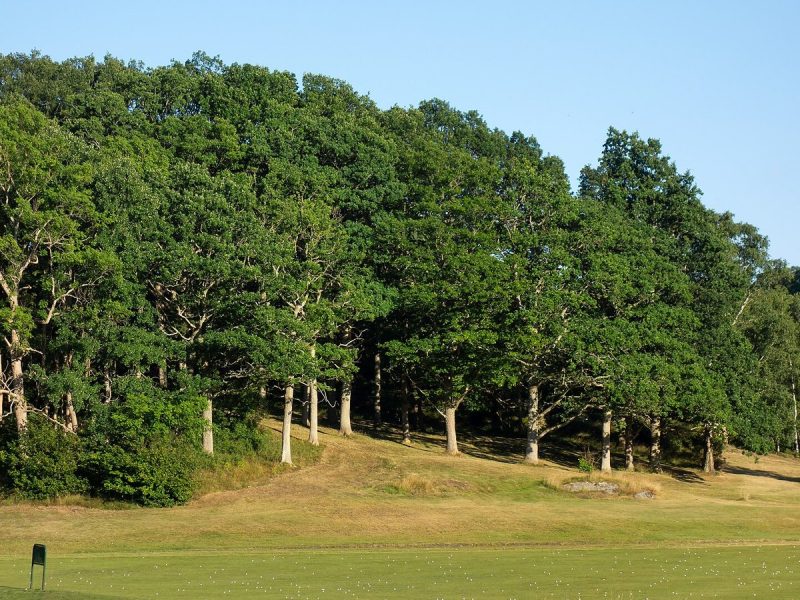 Københavns Golf Klub