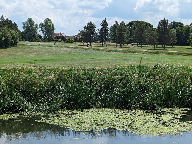 Nivå Golf Klub