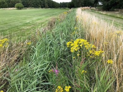 Pibe Mølle Golf