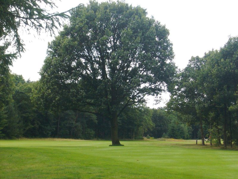 Ribe Golf Klub