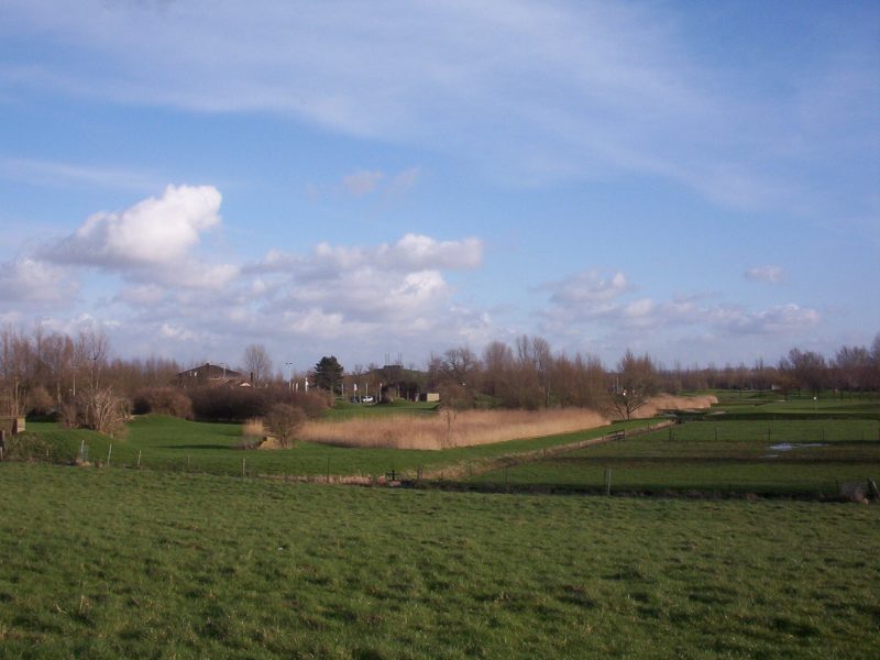 Royal Oak Golf Club