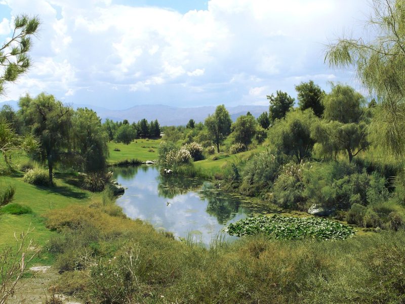 Royal Oak Golf Club