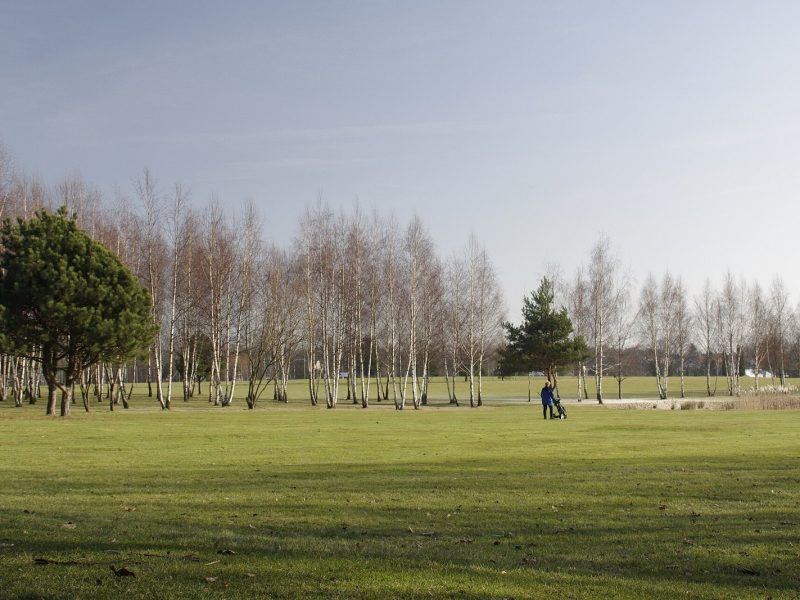 Ry Golf
