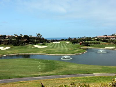 The Scandinavian Golf Club