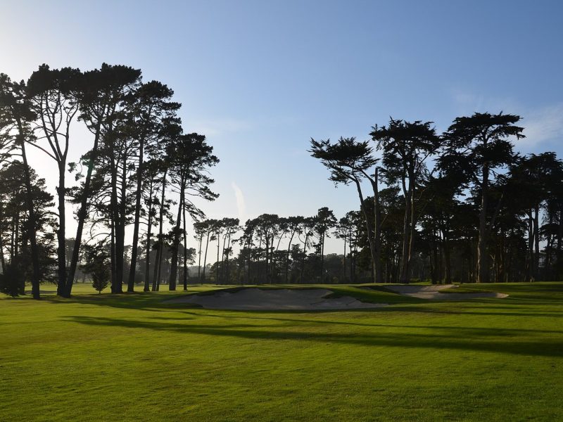The Scandinavian Golf Club