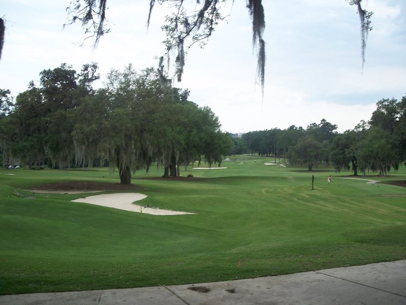 The Scandinavian Golf Club