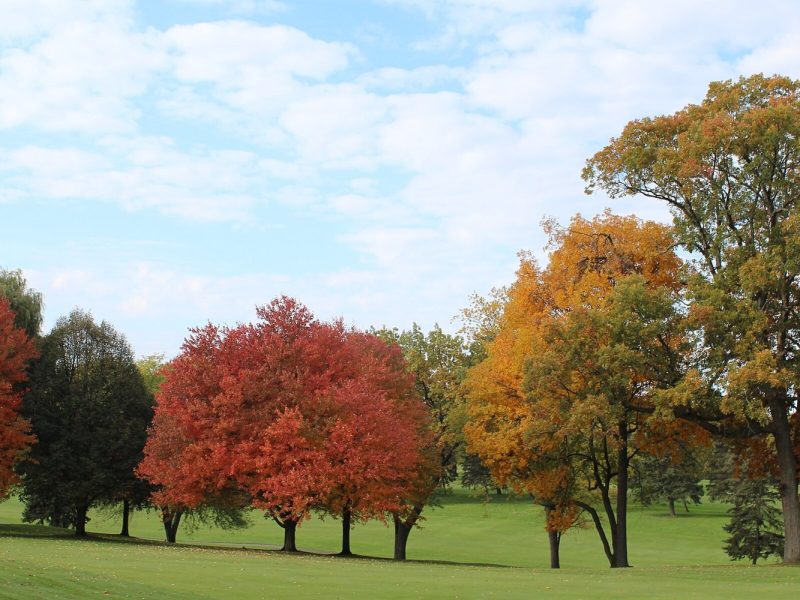 Vestfyns Golfklub